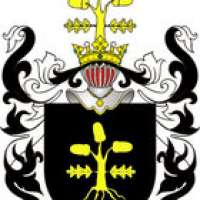 Die adlige polnische Familie Achremowicz, Wappen Dąb (Czelechy, Dub, Ehler, Żelechy).
