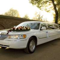 Erlebnistag in einer Stretchlimousine