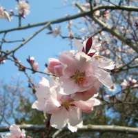 Die besten Tipps für einen leichten Start in den Frühling