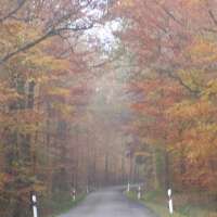 Wald, Luft und Wasser