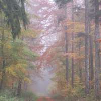 Trauriger Herbst?