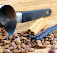Paduno Kaffeepads – Top 4