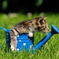 Der Sommer ist da - Den Garten fit und gemütlich machen