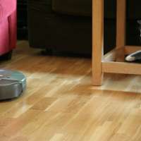 Der Staubsauger-Roboter – bringt gelangweilte Katzen in Schwung und sagt Wollmäusen den Kampf an!
