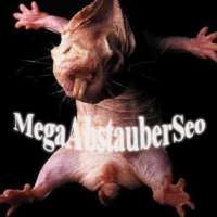 MegaAbstauberSeo