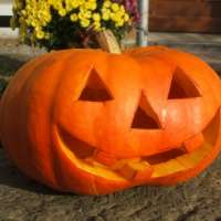 Gruselrezepte zu Halloween