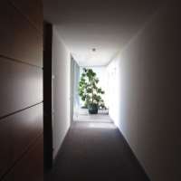Schwarzer Schimmel an der Wand - Wie entfernen?