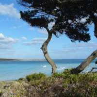 Ferienwohnung Italien am Meer