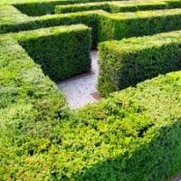 Venedig: ein gottverlassenes Labyrinth