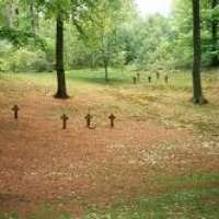 Die Bestattung in der Natur