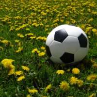 Sportwetten
