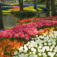 Der Frühling zwitschert für mich ein Gedicht