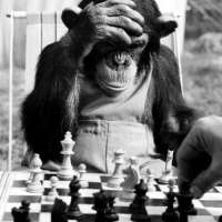 Lieben Sie scherzhafte Rätsel-Computerspiele?