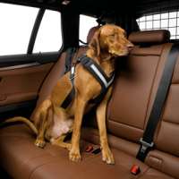 Hundegurte für´s Auto
