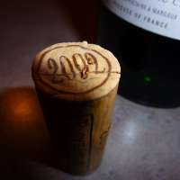 Tipps und Informationen zur richtigen Weinlagerung