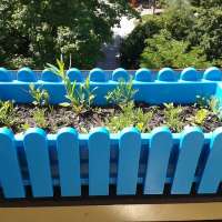 Der eigene Kräutergarten auf dem Balkon – kein Hexenwerk!