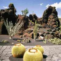 Landausflug auf Lanzarote