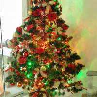 Rund um Weihnachten