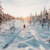190.000 Seen in Finnland – Warum sich ein Urlaub lohnt