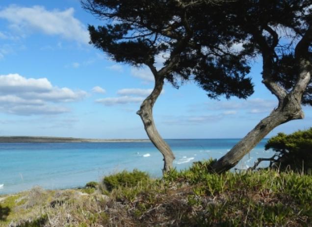 Ferienwohnung Italien am Meer