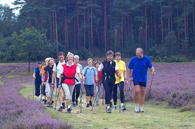 Sport, Ausdauer und Fitness: Nordic Walking schont Rücken und Gelenke