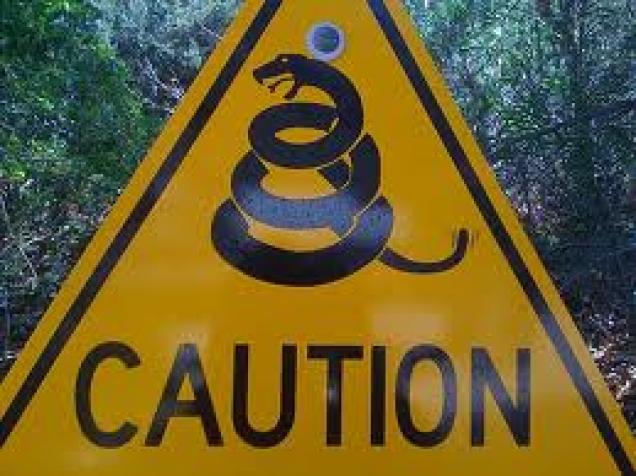 Ist es im australischen Busch wirklich gefährlich?