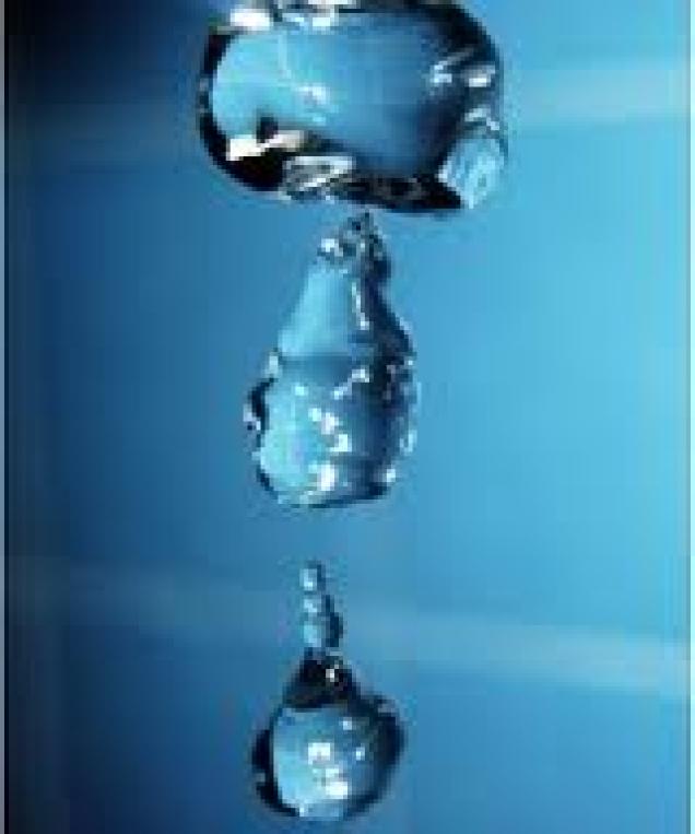 Trinkwasser nachhaltig nutzen