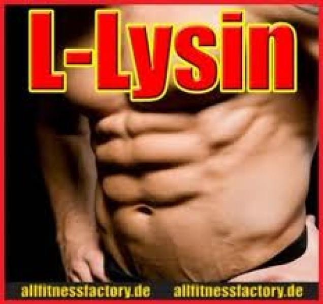 L - Lysin