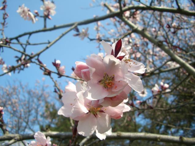 Die besten Tipps für einen leichten Start in den Frühling