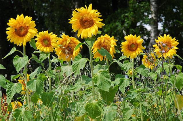 Tolle Sommerromane für Frauen