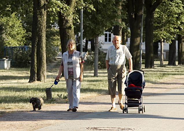 Die Rürup Rentenversicherung - für Selbstständige sinnvoll?