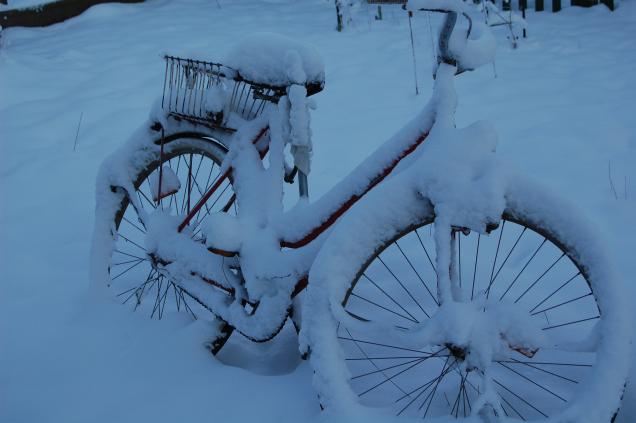 Fahrrad Check