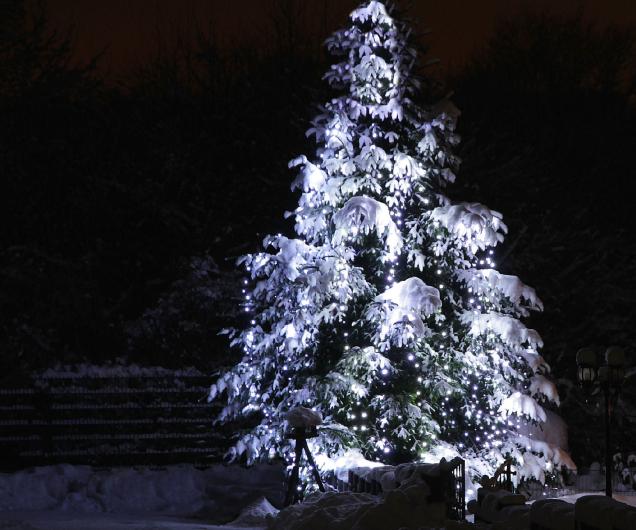 Weihnachtsbeleuchtung mit LEDs