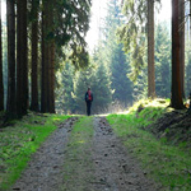 So behalten Sie den Spaß beim Wandern