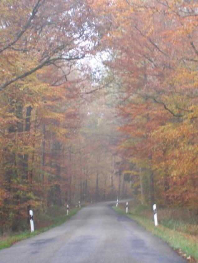 Wald, Luft und Wasser