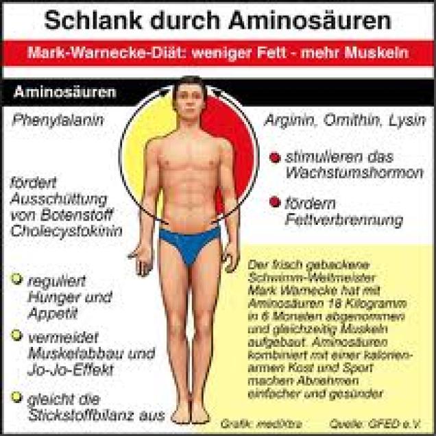 Leistungsfähigkeit erhalten - starke berufliche Belastung durch Aminosäure ausgleichen