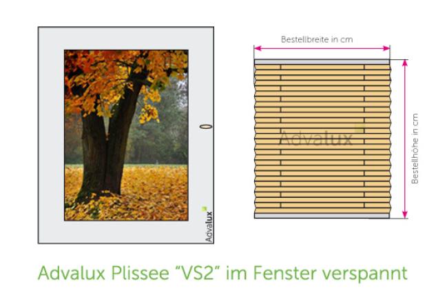 Was ist ein Plissee VS2?