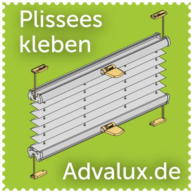 Maßgefertigtes Plissee im Online Shop günstig kaufen