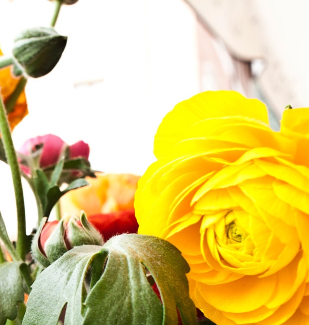 Die Italienische Feinschmecker-Glückwünsche - Tanti Auguri!