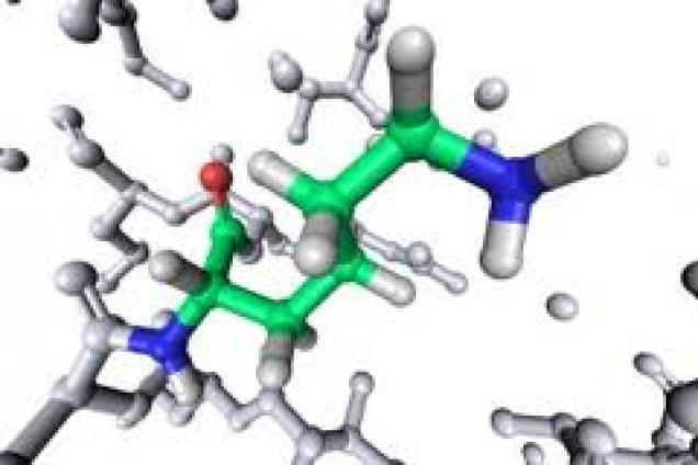 Taurin - ein Multitalent zur Wiederherstellung und Erhaltung der Gesundheit