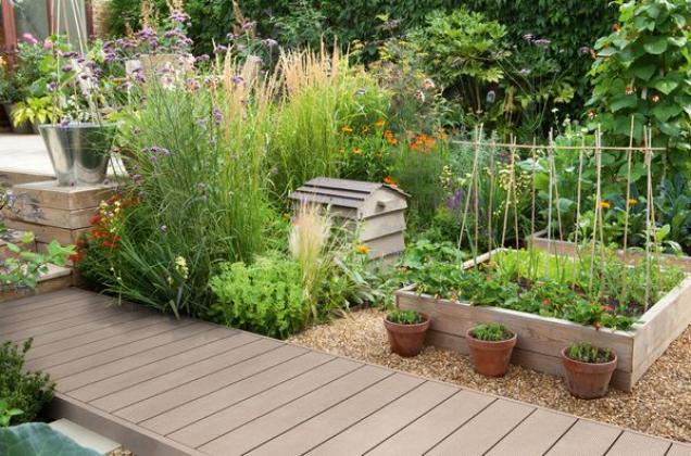 Plenera-Bodendielen und Bodendielen für die Terrasse aus Holz im Vergleich