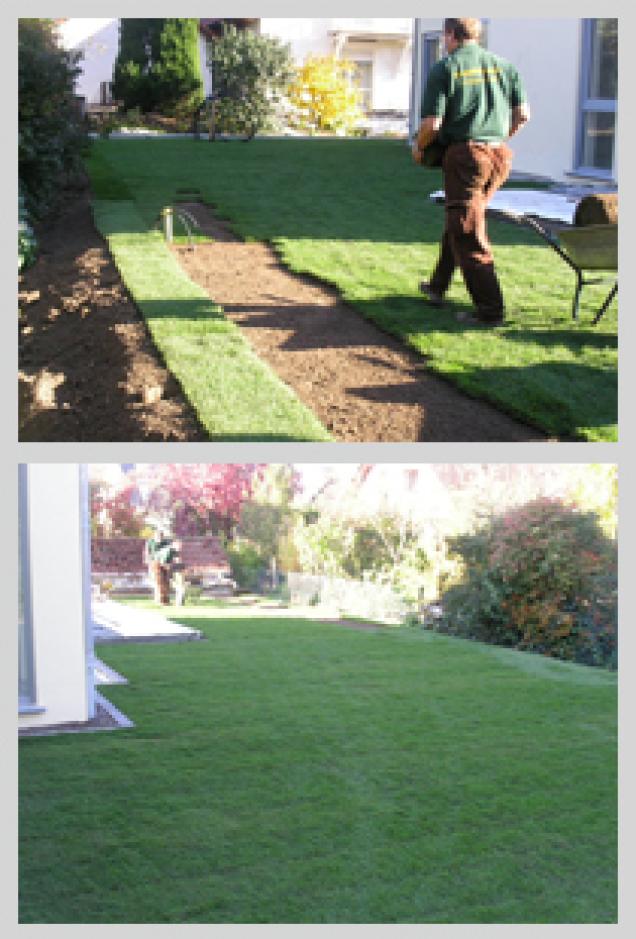 Vorrauschauend den Garten Planen - der optimale Boden für einen guten Rasen