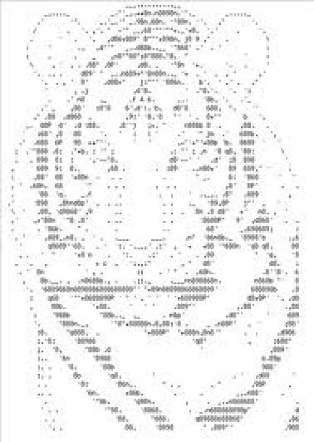Meine wundersame welt der ASCII Bilder