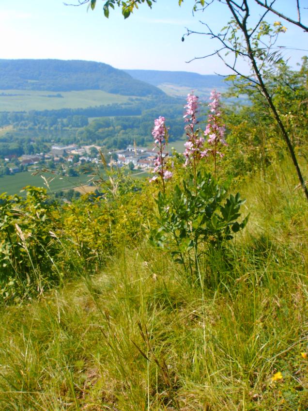 Eine Lasersonne über meiner Heimatstadt