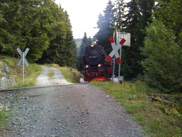 Die Dampflokfahrt zu meinen Löwenzahnsonnen