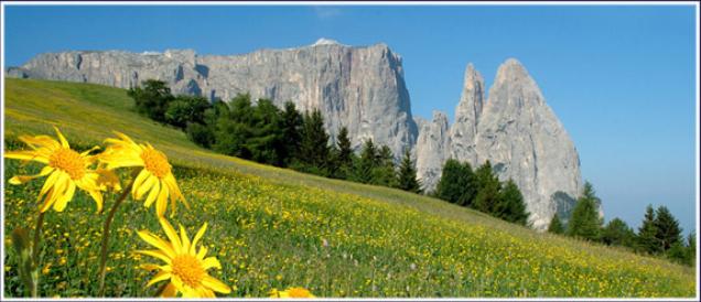Südtirol Urlaub – Hotels, Unterkünfte und Urlaubsangebote