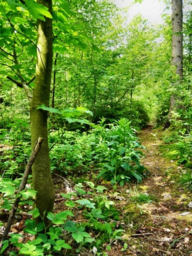 Aufbruchstimmung - Zeit neue Wege zu gehen