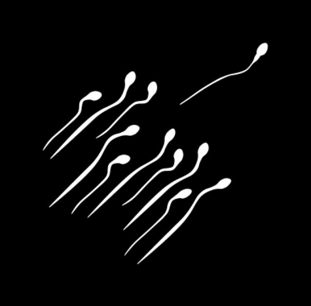 Unerfüllter Kinderwunsch - Das Spermiogramm