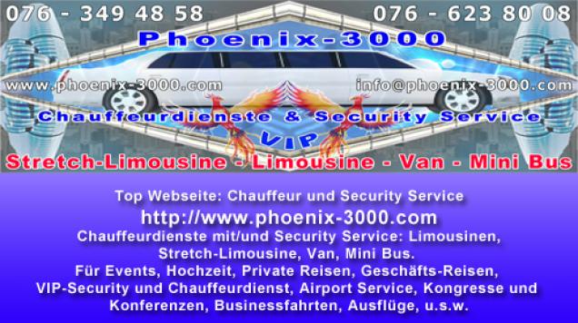 Chauffeurdienstleistungen und Security Service