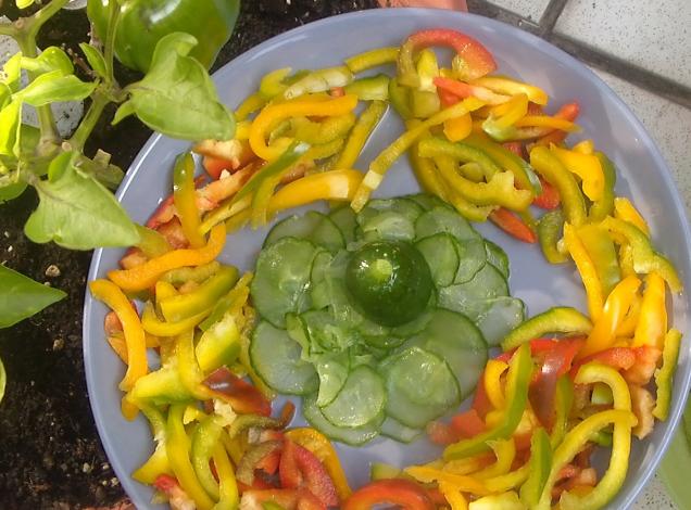Rezepte für leckere und erfrischende Salate?